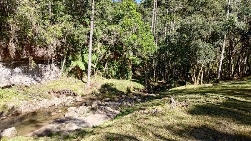 Sitio / Terreno / Chácara / Rio dos Bugres Urubici Cascata e Rio - Foto 3