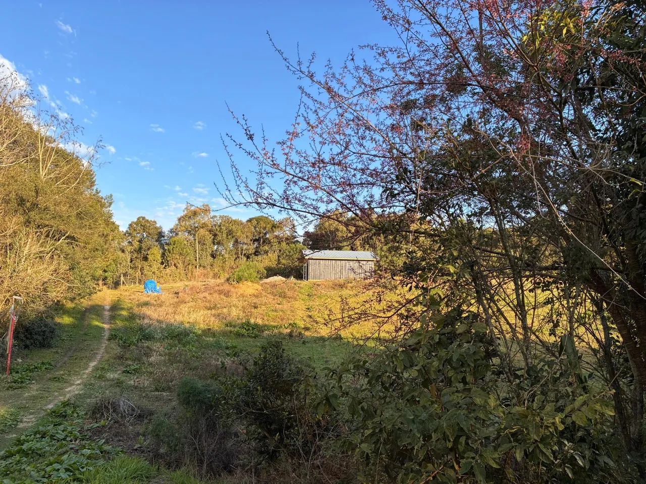 Foto - Curitiba - Alto Boqueirão