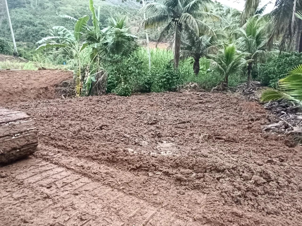 Terreno com com 2 tanques de peixe - Foto 15