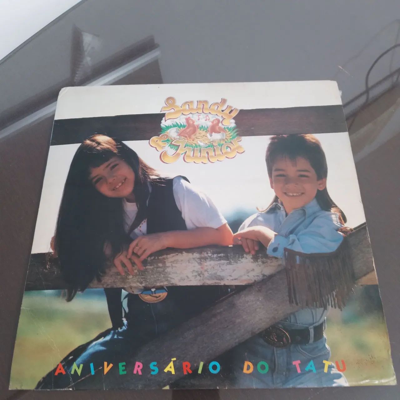 Disco vinil Sandy e Jr. 