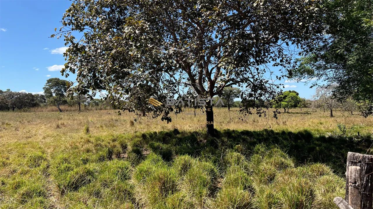 Fazenda 18 Alqueires com Granja, 80 km de Palmas - Foto 2