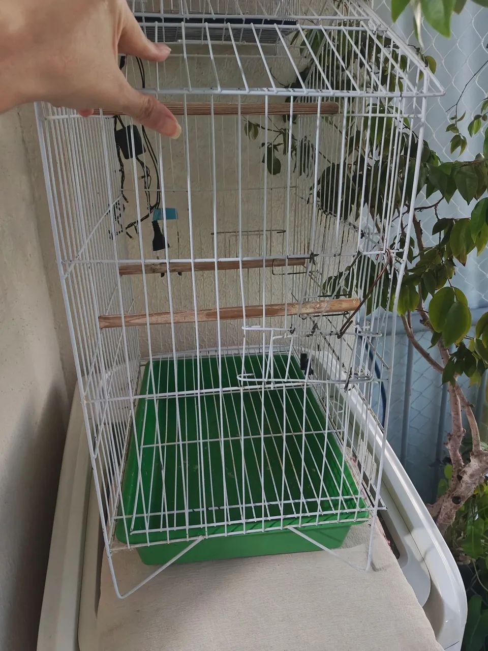 Gaiola para calopsita  - Foto 3