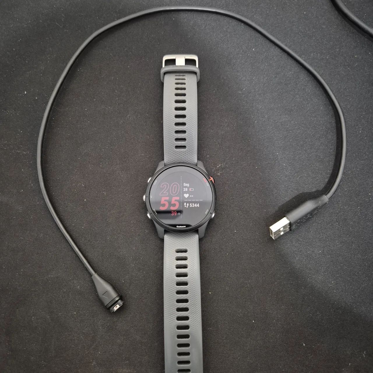 Garmin Forrerunner 255 - Foto 3