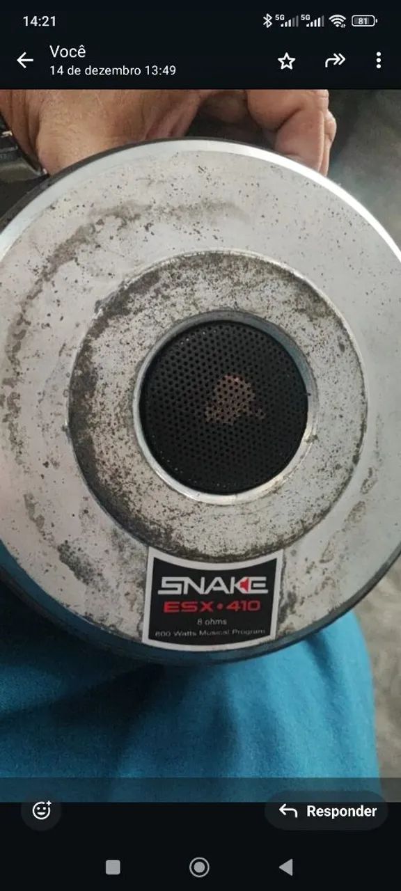 Alto falante 10" snake  - Foto 2