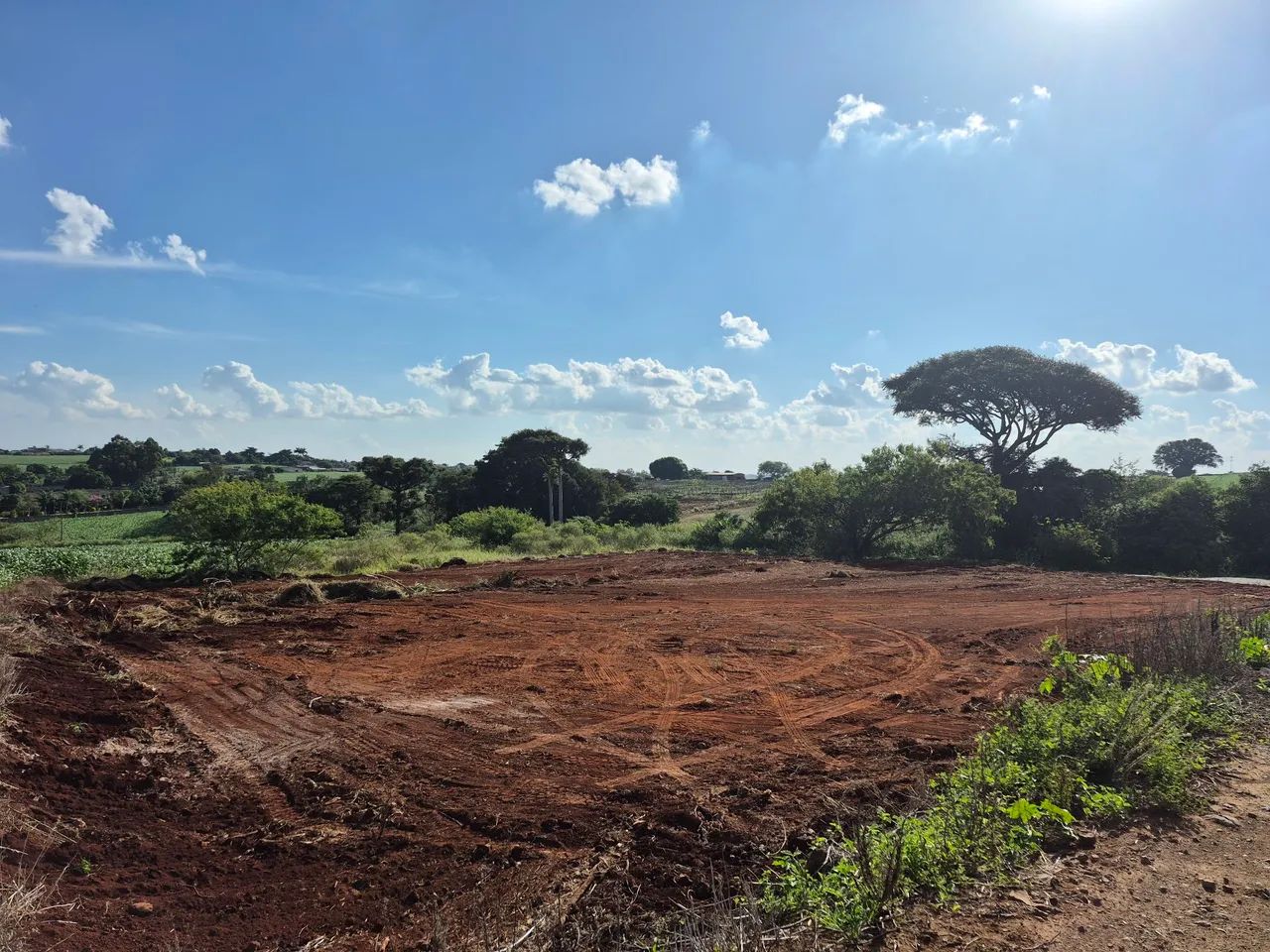 Terreno Industrial 2390m2 em Marialva - Foto 4