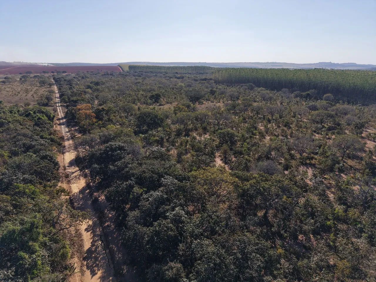 Fazenda 150hectares