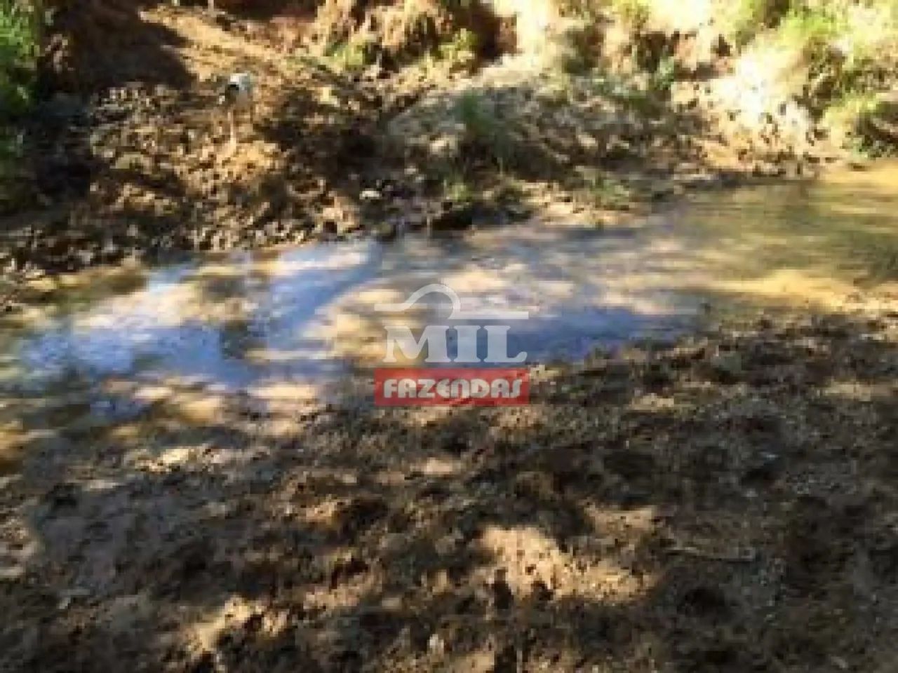 Fazenda com 45 Alqueires (218 hectares) em Ipameri - Goiás. - Foto 5