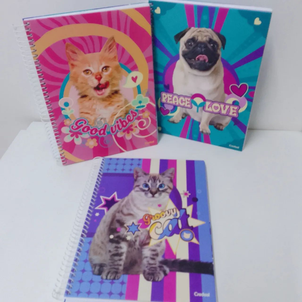 Kit 5 Caderno de 10 matérias 