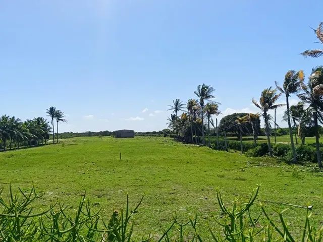 ÁREA 16.705,73 M² COM GALPÃO 300 M² - Foto 2