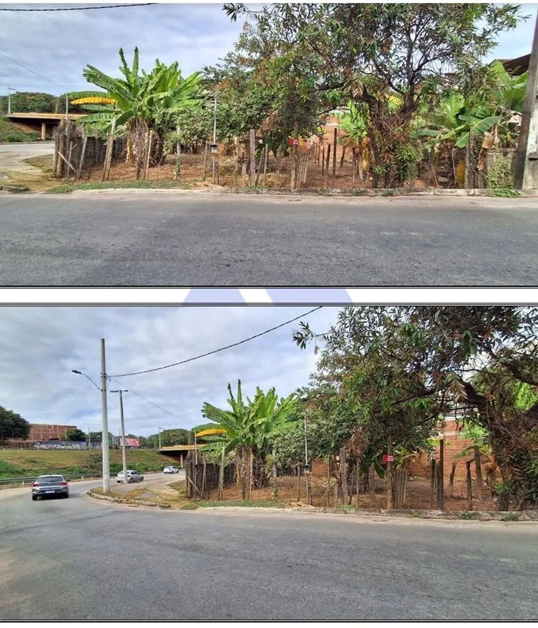 Lote - Foto 3
