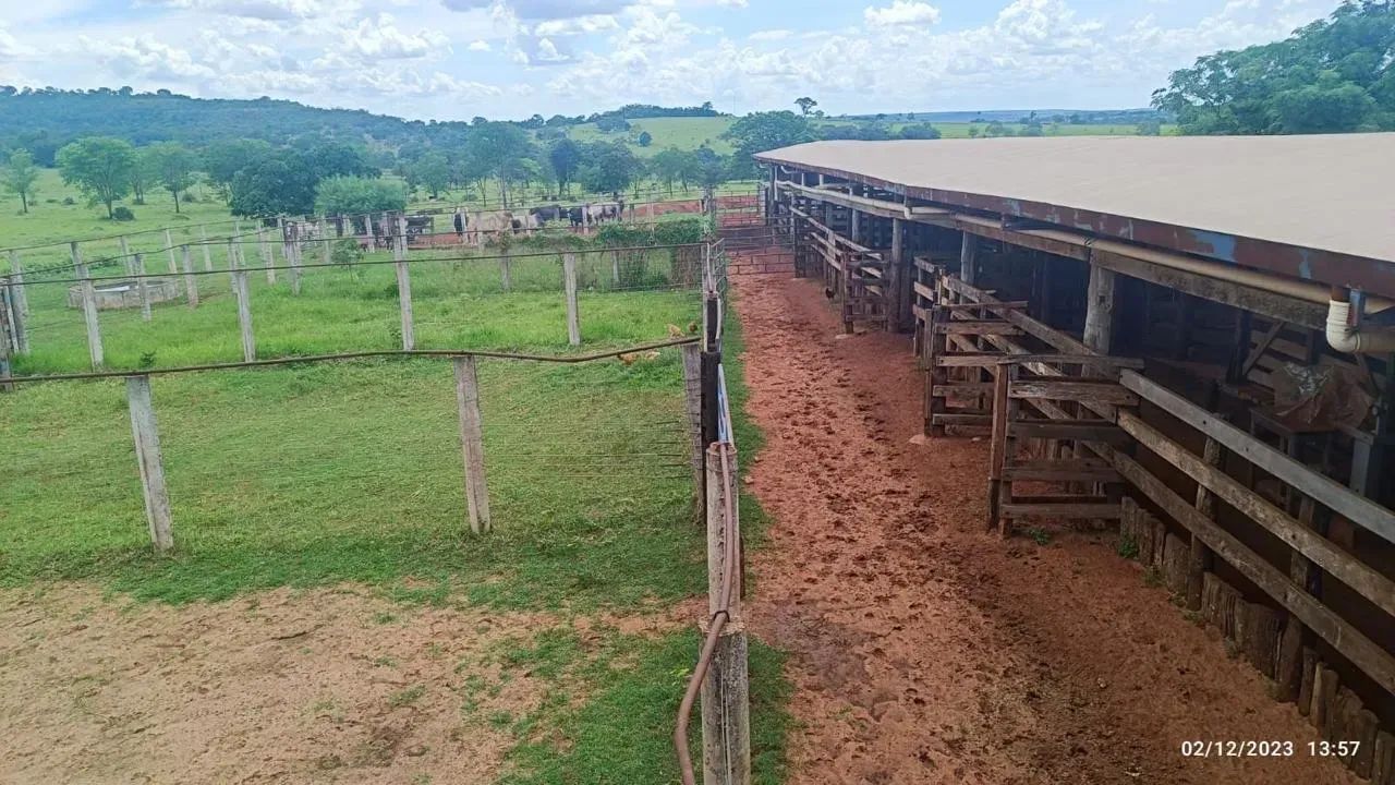 Vendo fazenda 158 km de Uberaba - Foto 4
