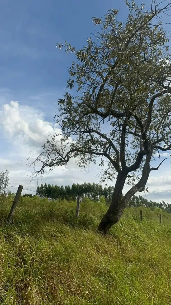 1.000m² em Mairinque/SP com condições imperdíveis - Foto 4
