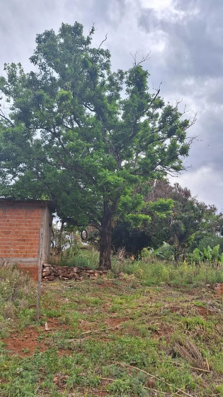 Terreno Cambé 5 mil m² - Foto 2
