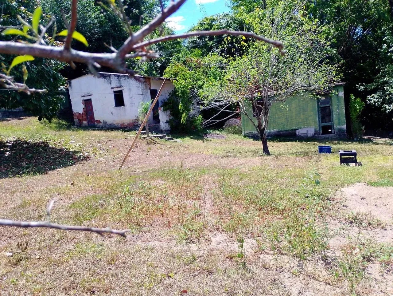 Sitio com 2800 m2 em Seropedica com casa de 4 qts - Foto 10