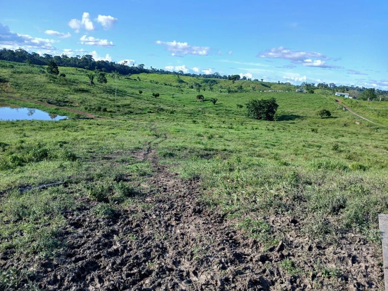 DOIS LOTES À VENDA EM FEIJÓ 