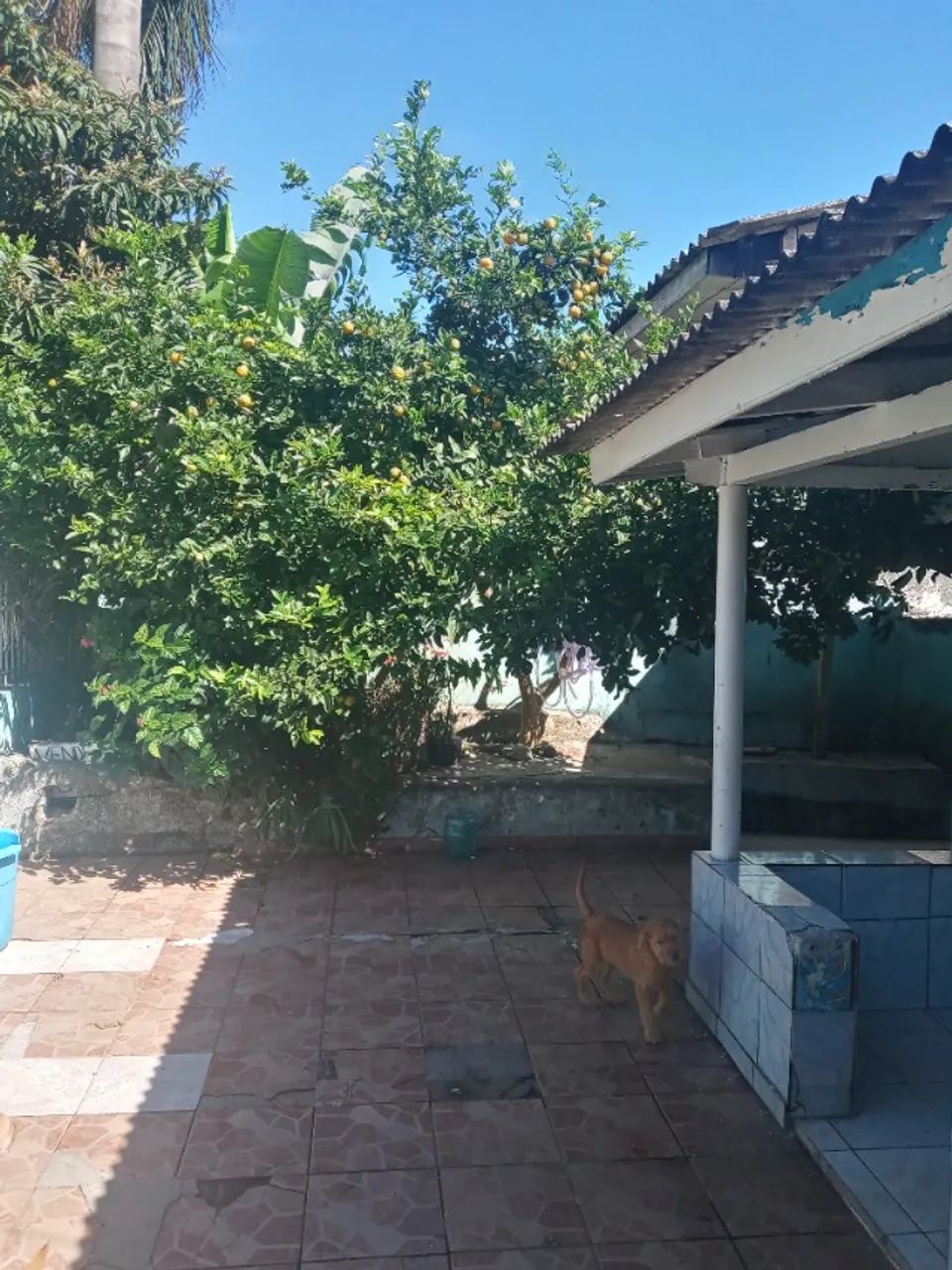 Vende terreno com casa - Foto 5