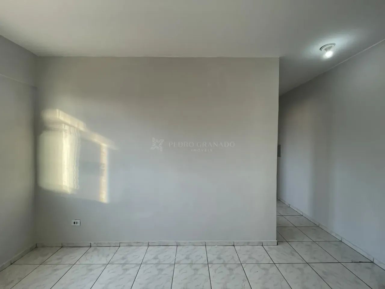 Zulmira Pontes - Foto 2
