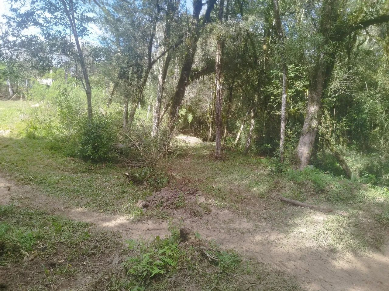 Terreno chácara  - Foto 5