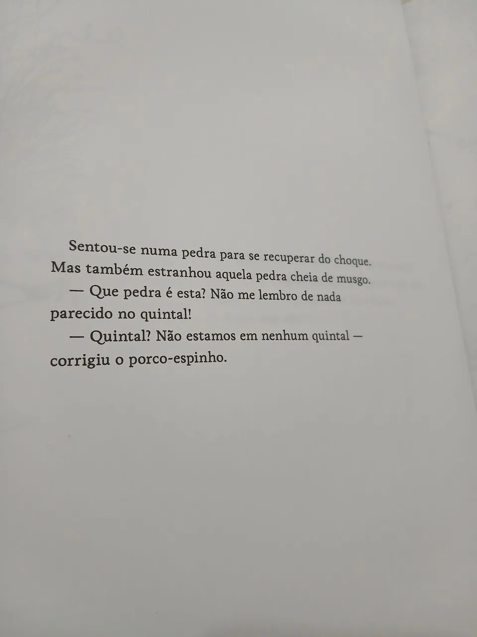 Otávio não é um porco-espinho! - Foto 3