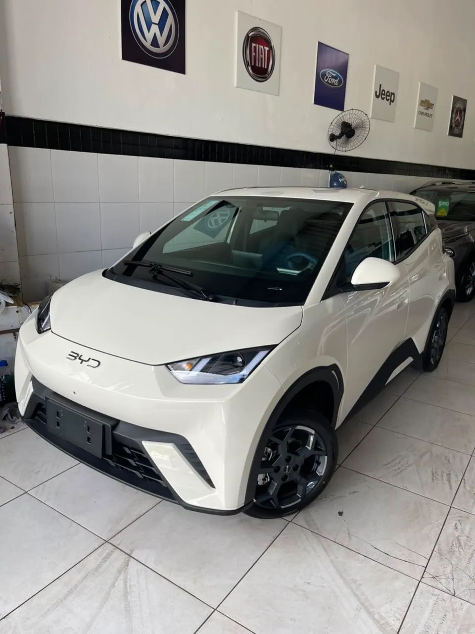 BYD Dolphin GS (Elétrico) 2027 - Foto 4