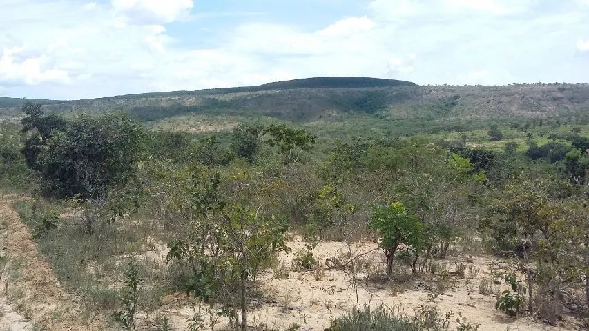 Chácara Financiada de 1.000 m2 em Curvelo e Cordisburgo - Foto 5