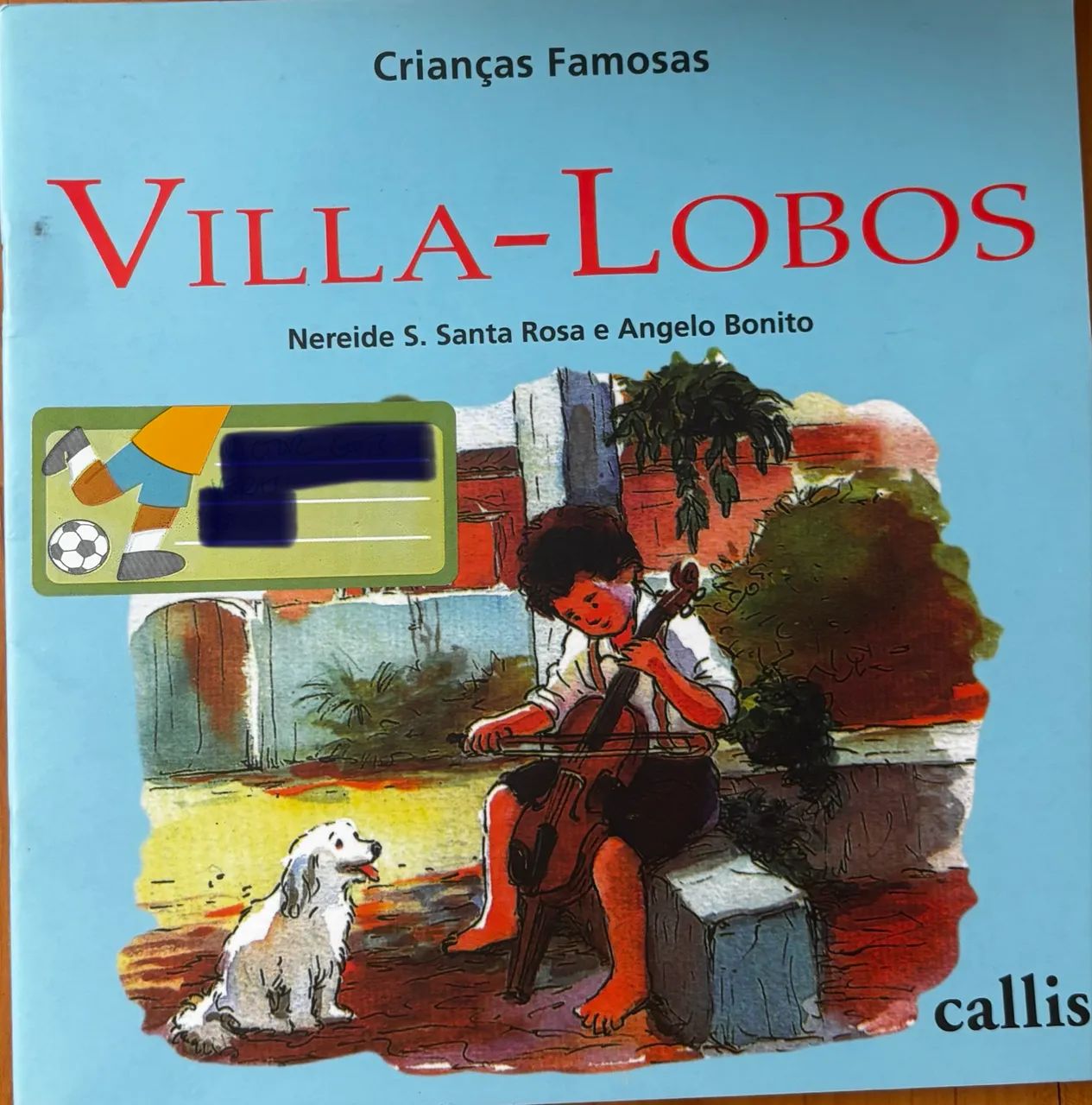 Livro villa lobos