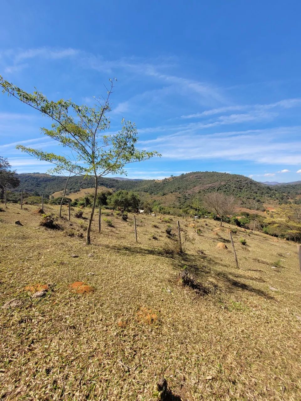 Terreno em Chácara  - Foto 3