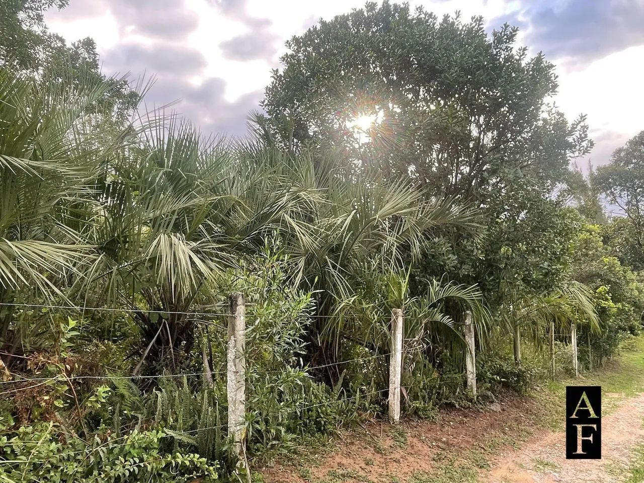 Terreno na Praia do Rosa