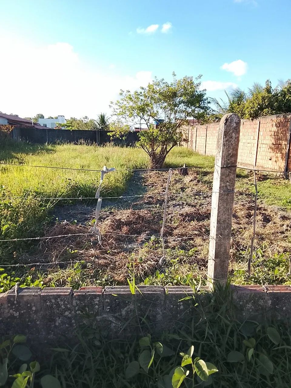 Terreno  - Foto 5