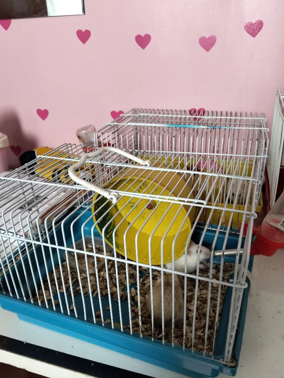 Hamster com gaiola e Bebedouro  - Foto 2