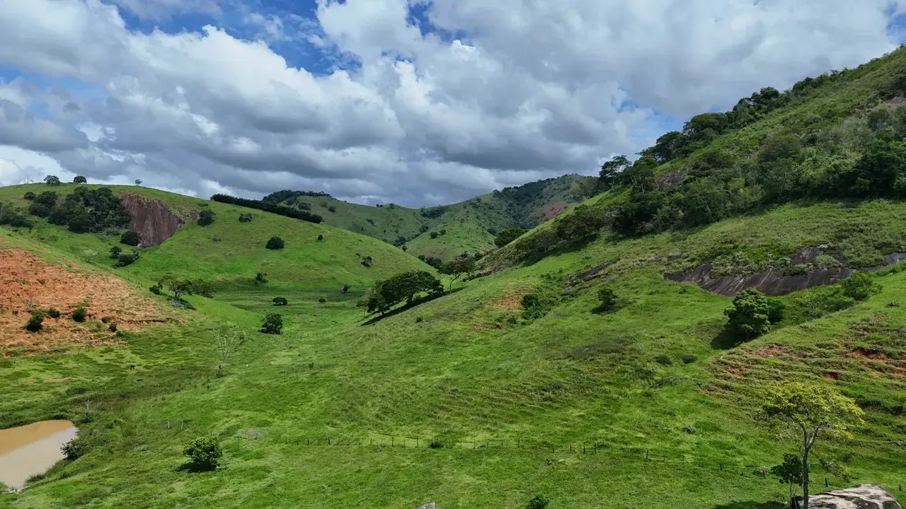 Oportunidade Única: Fazenda de Alta Produtividade agropecuária. - Foto 9