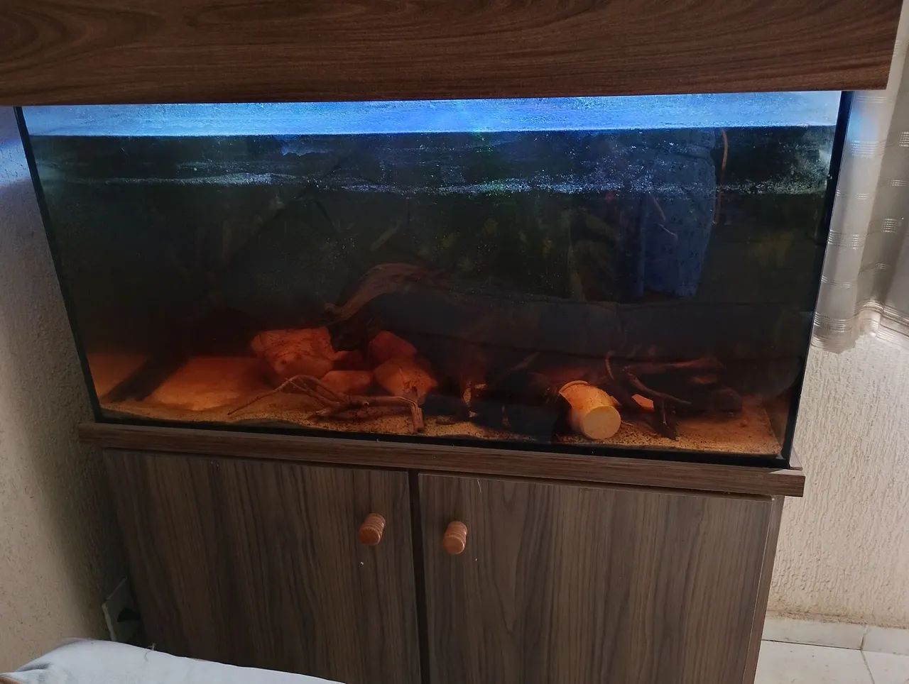 Vendo aquario