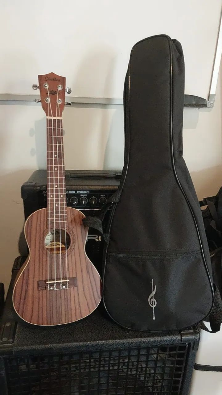 Ukulele Concert Shelby SU 23R + capa