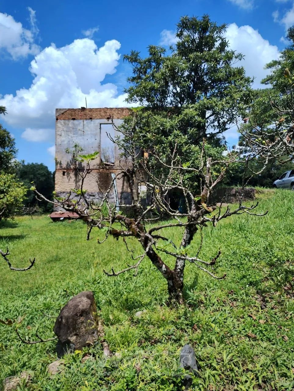 Chácara Galópolis Caxias do Sul - Foto 4