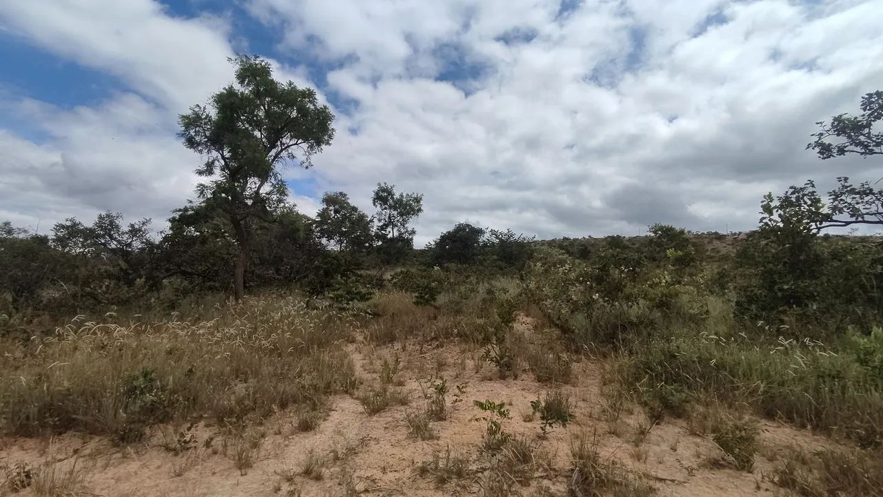 Terreno "chácara" Cordisburgo 2.000 m² - Foto 2