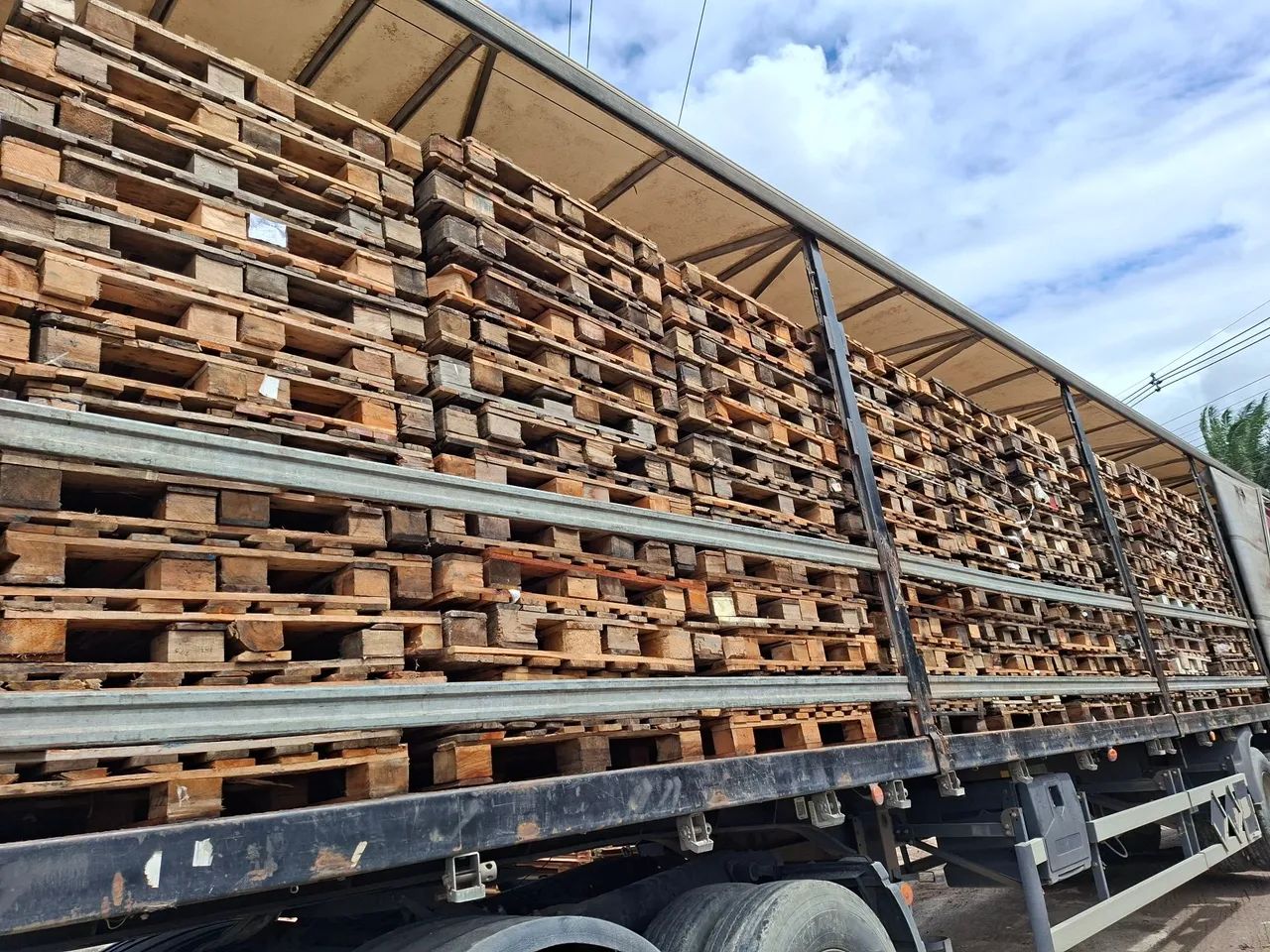 Pallet / eucstex e madeites  - Foto 4
