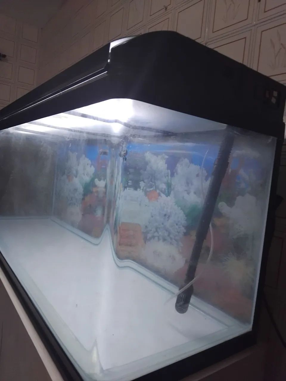 Aquário curvo electrical rs 1m 50 347litros - Foto 3