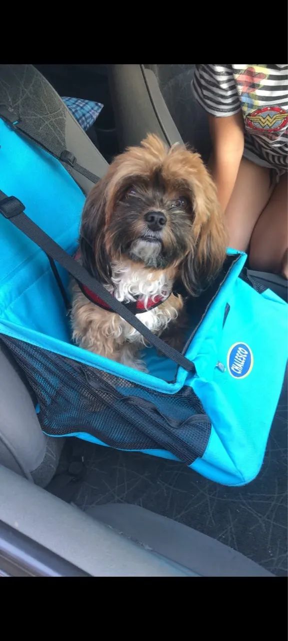 Cadeira de transporte de Pet 