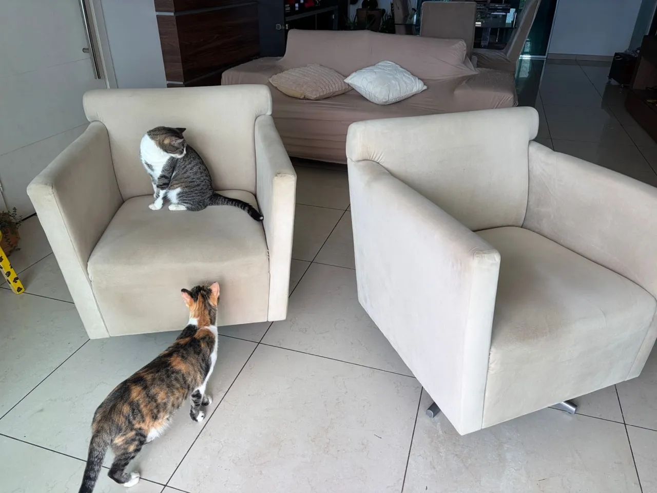 Poltronas giratórias 