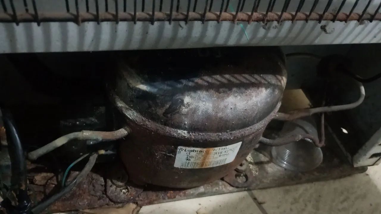 Técnico  - Foto 2