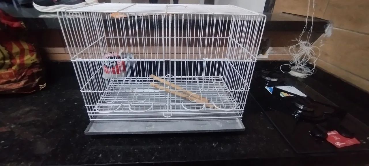 Gaiola criadora canário belga pintura epoxi