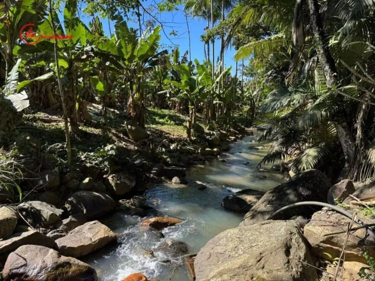 Sítio | Venda | Laranjeiras