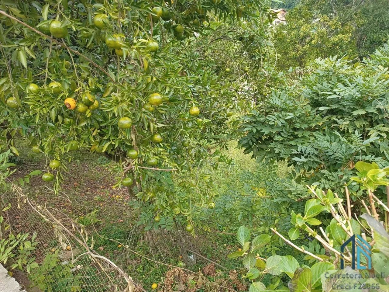 TERRENO A VENDA NO CENTRO DE OTAVIO ROCHA - RS - Foto 4