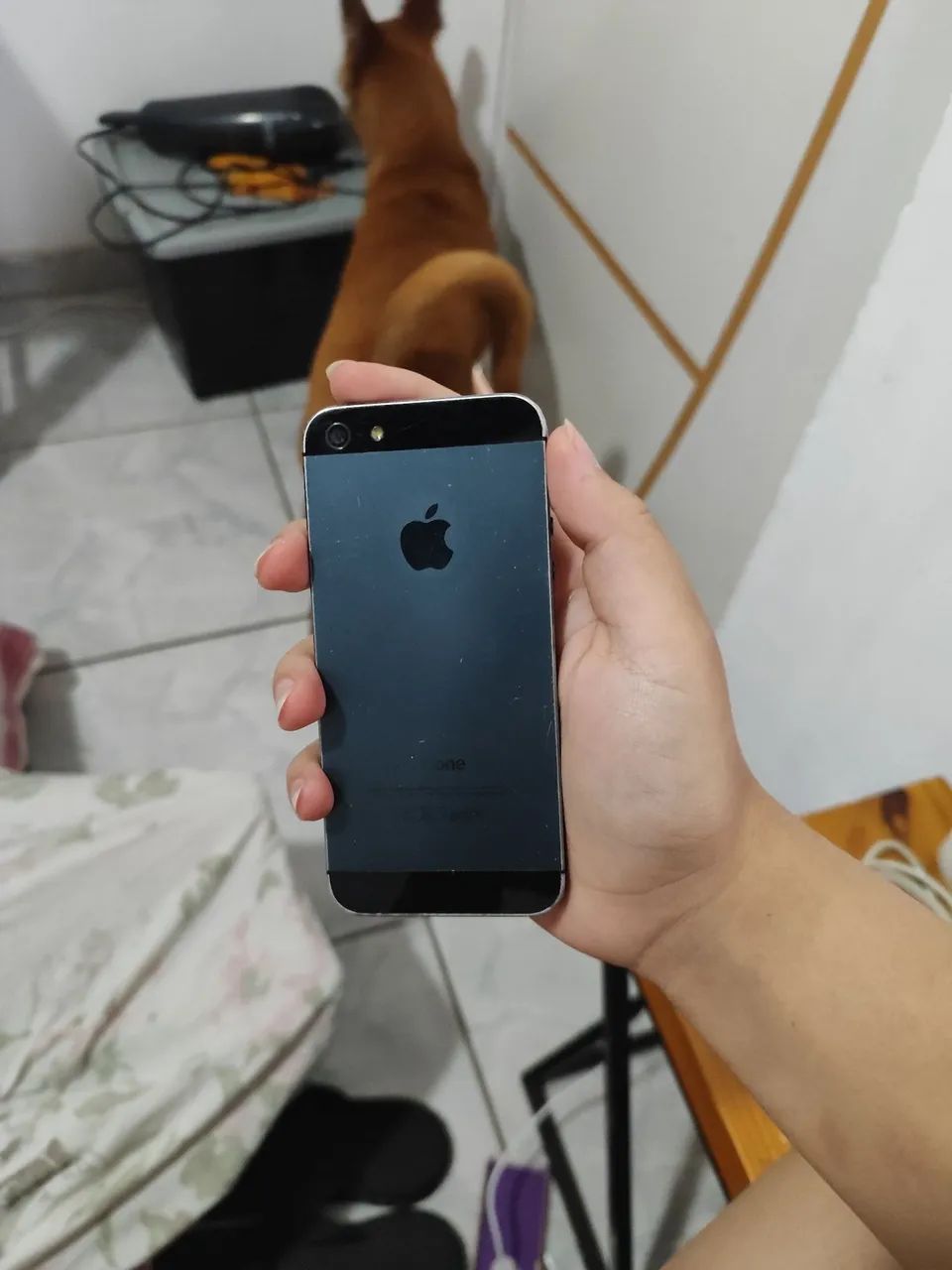 iPhone 5 - Foto 3
