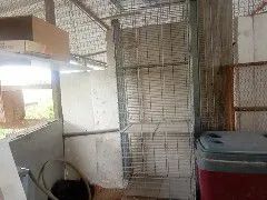 Gaiola de codorna gigante  - Foto 5