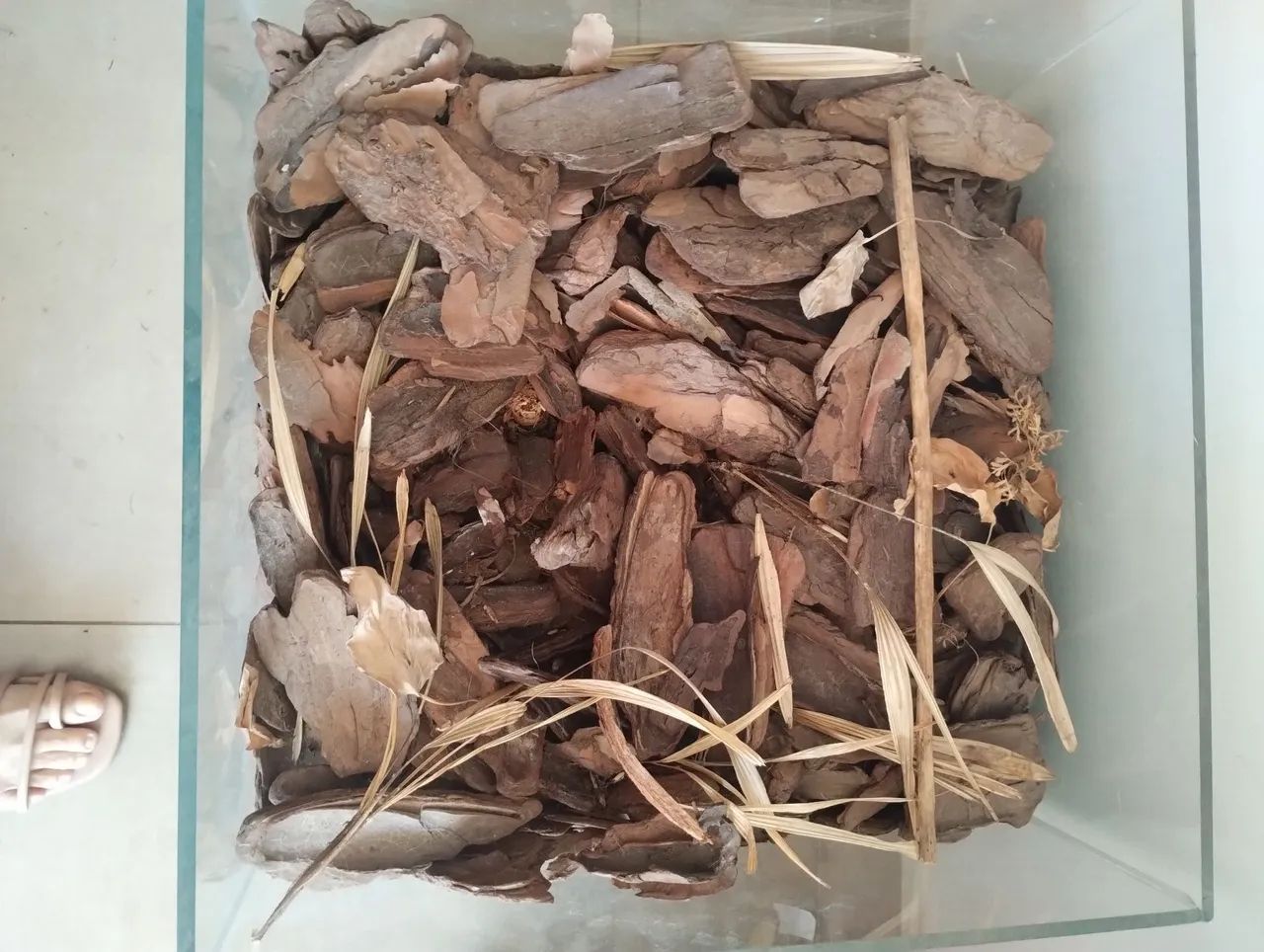 Vaso de vidro com rodinhas  - Foto 2