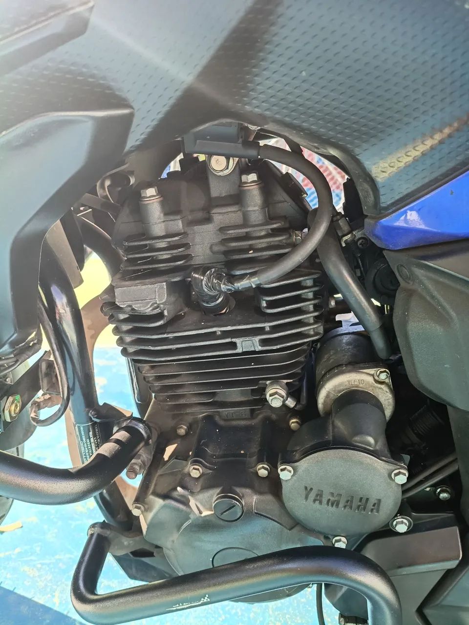 Fz25 2019 - Foto 5