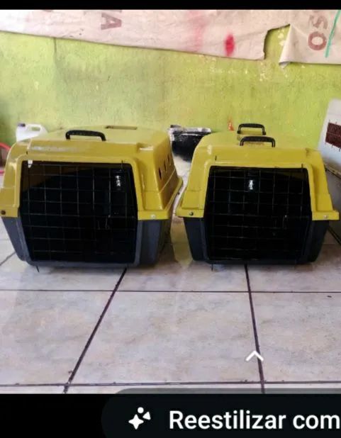  transporte para pets