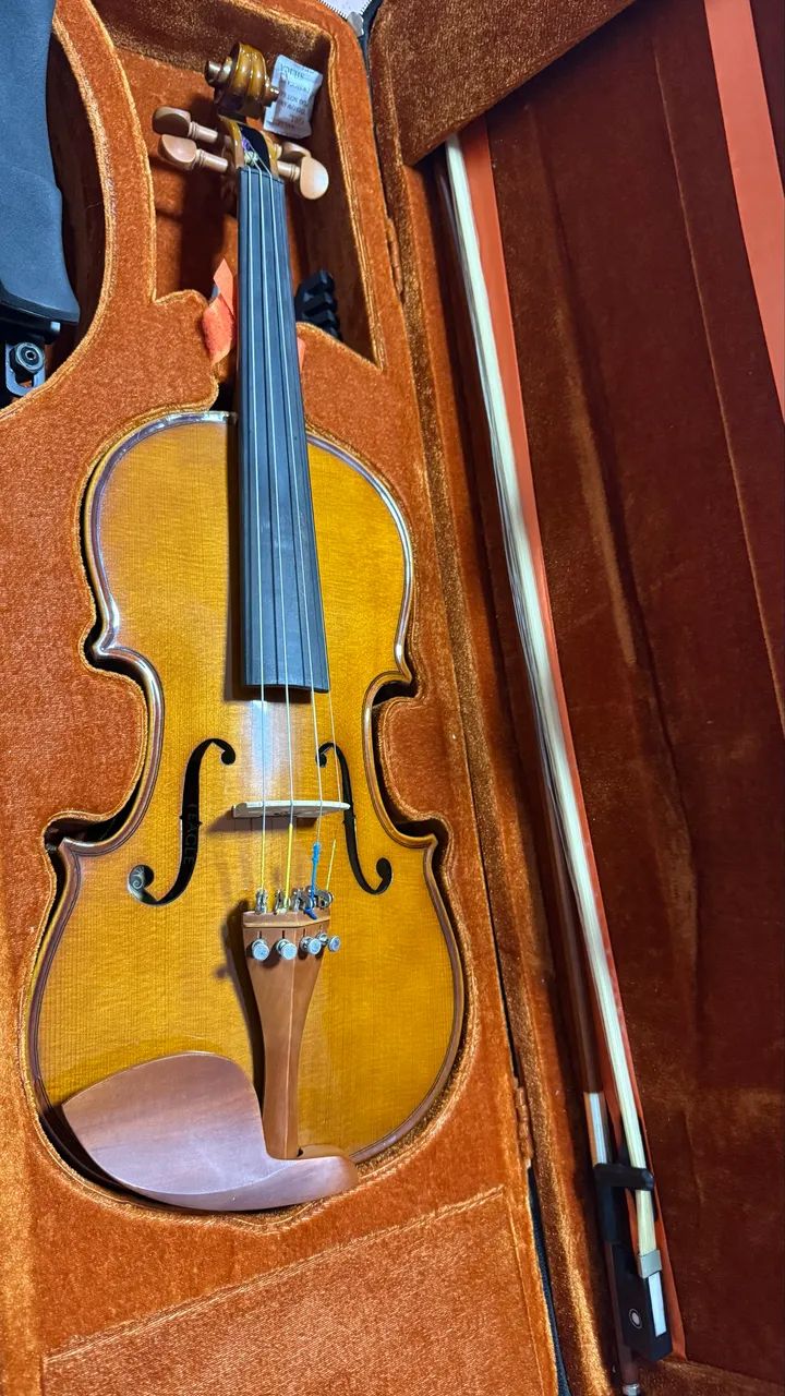 Violino Eagle VE 441 4/4 - Foto 3