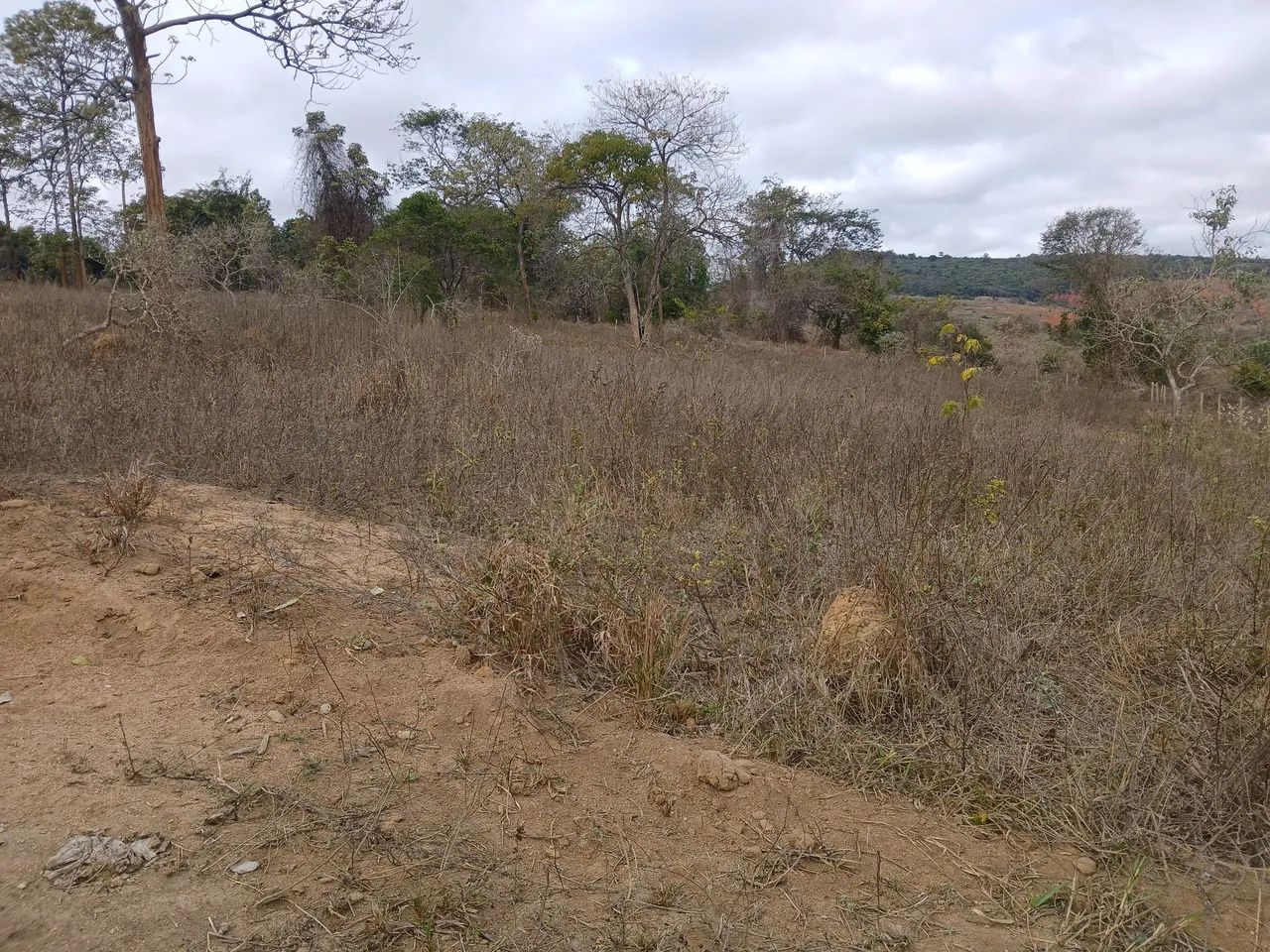 Chacara - Foto 4